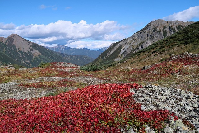 Mountains jigsaw puzzle