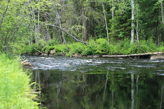 Free Å Water photo and picture