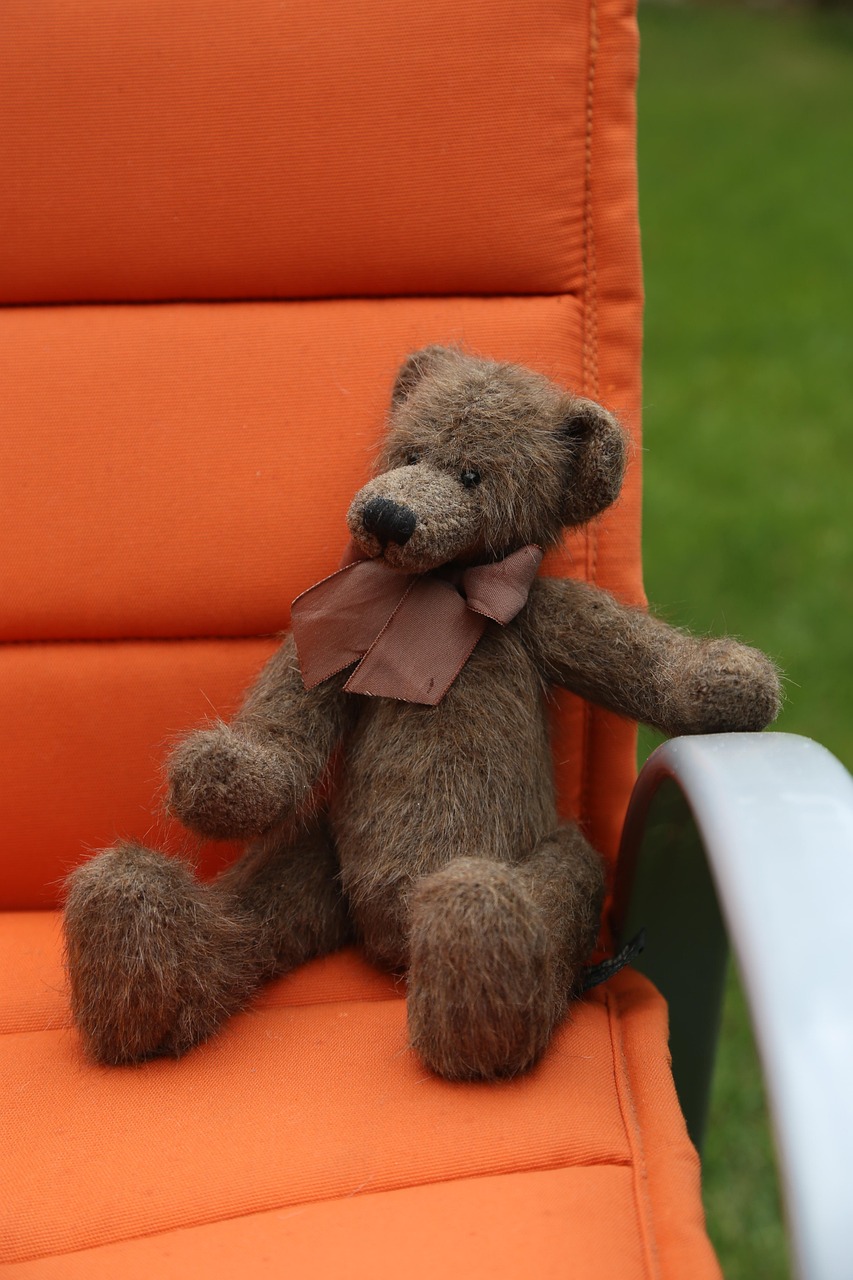 Teddy Plush Little Bear - Free photo on Pixabay - Pixabay