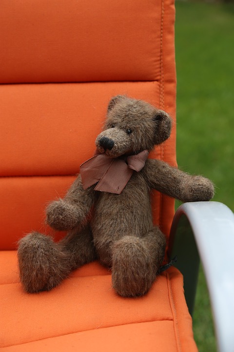 Teddy Plush Little Bear - Free photo on Pixabay - Pixabay