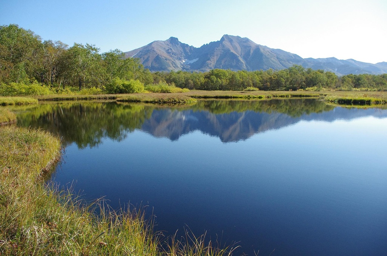 Forest Lake - free online jigsaw puzzle photo