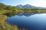 forest lake, mountains, forest