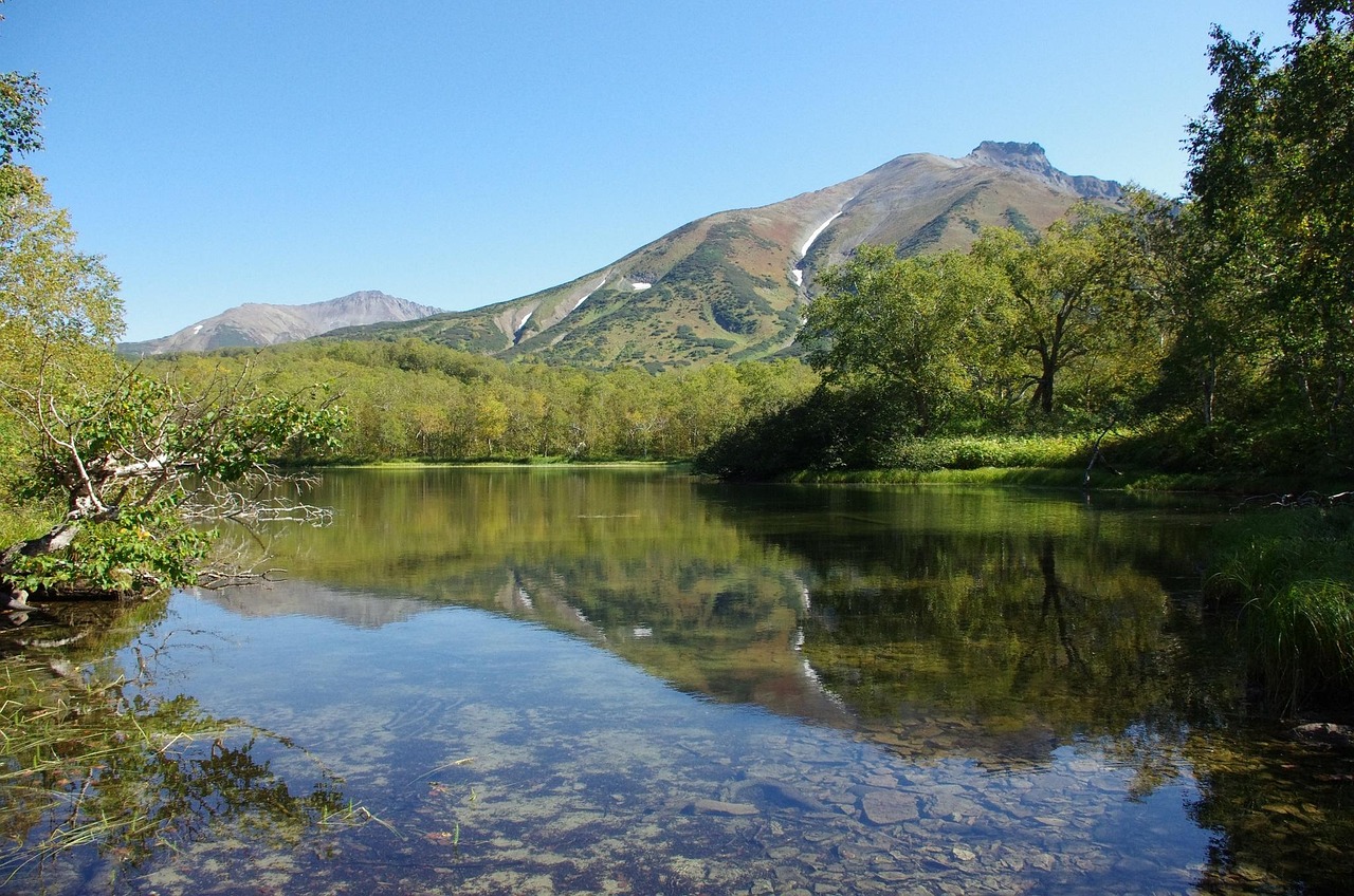 Forest Lake - free online jigsaw puzzle photo