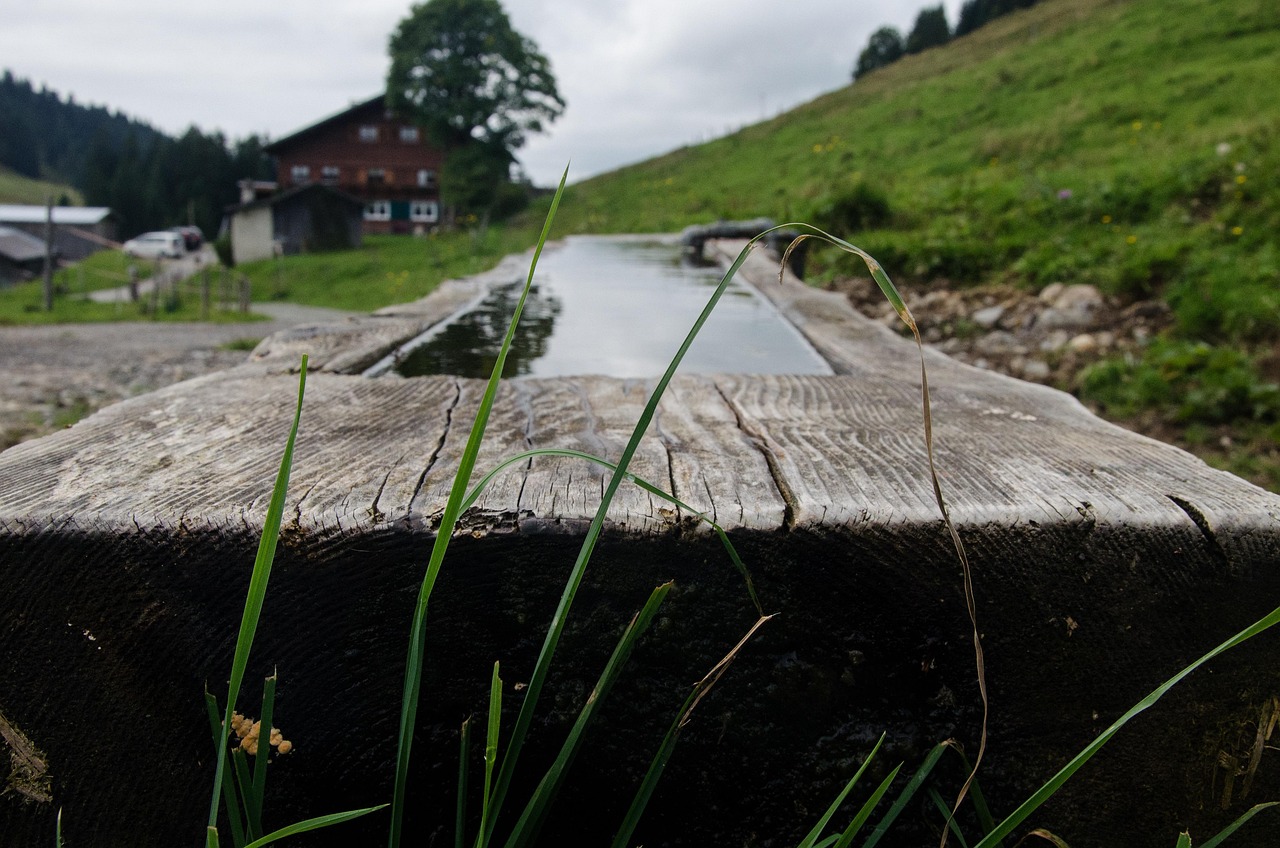 200+ Free Trough & Nature Images - Pixabay