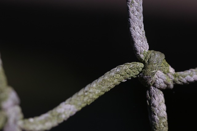 Free Rope Knot photo and picture