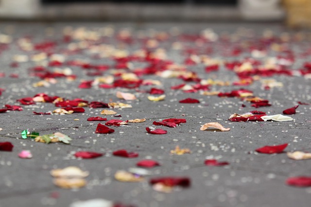 Free Still Life Wedding photo and picture