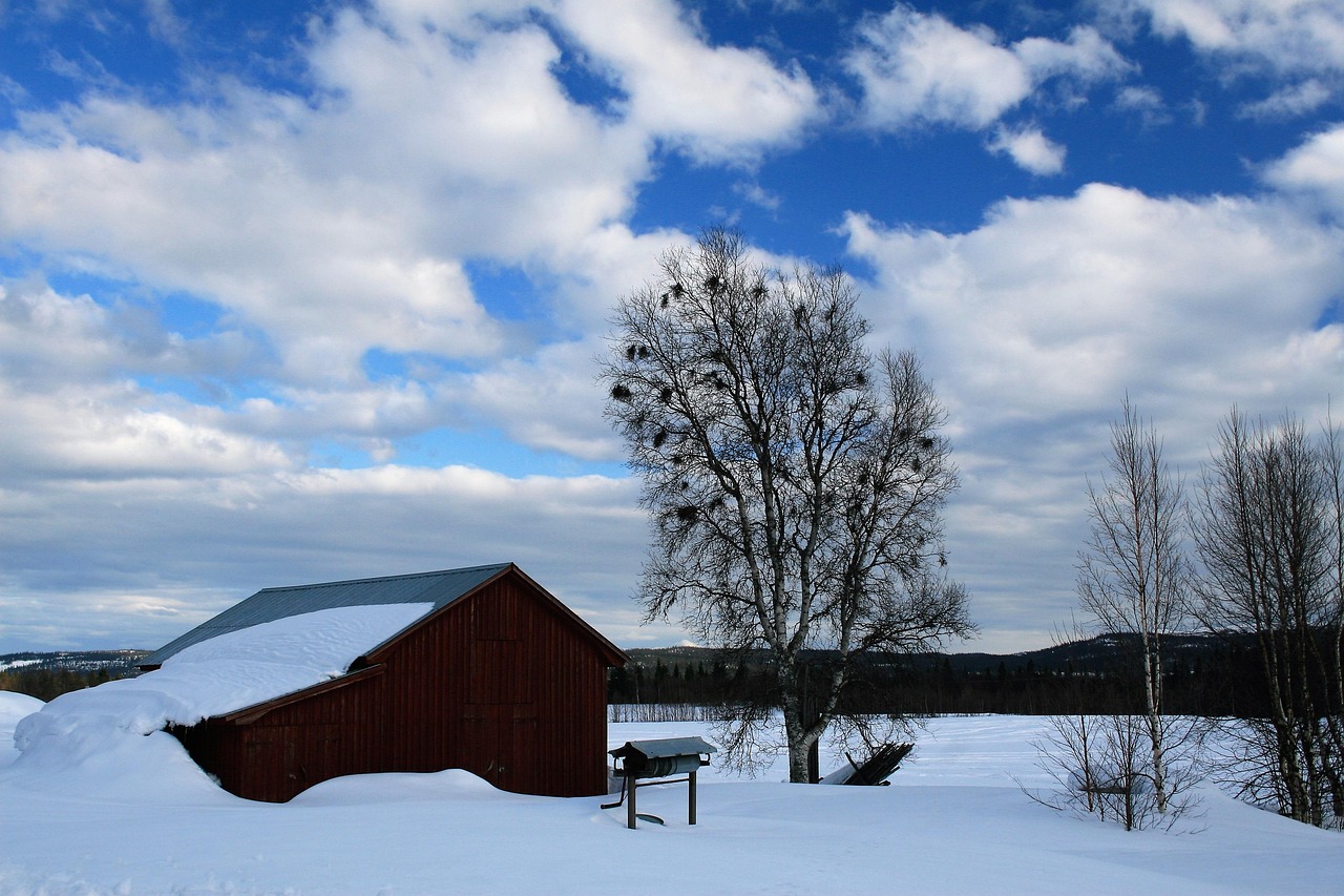 Winter - free online jigsaw puzzle photo