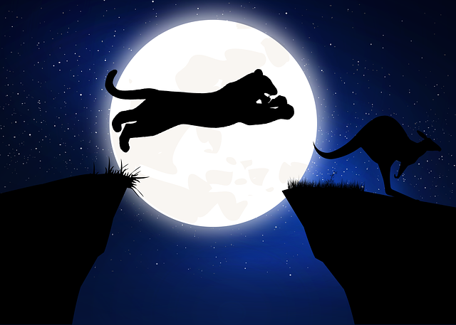 Free hunt life speed illustration