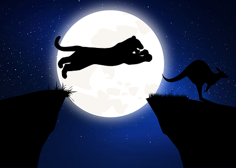 Free Hunt Life illustration and picture