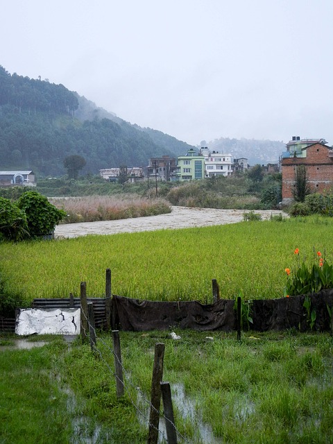 Asia, Nepal, Viaje, Inundaciones, Lluvia
