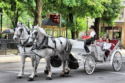 Free Horse Carriage photo and picture