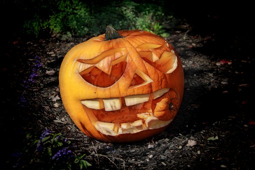 Free Pumpkin Haloween photo and picture