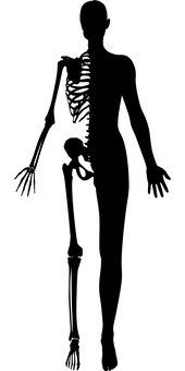 女子, 女性, 骨骼, 死亡, 圖, 萬圣節(jié), 人類, 人, 可怕, 側(cè)影
