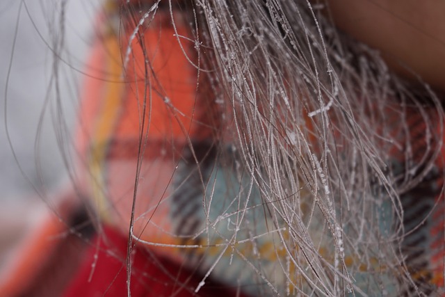 Free Hair Frost photo and picture