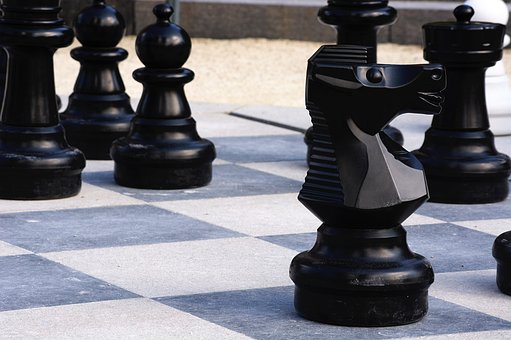 Free Chess Knight photo and picture