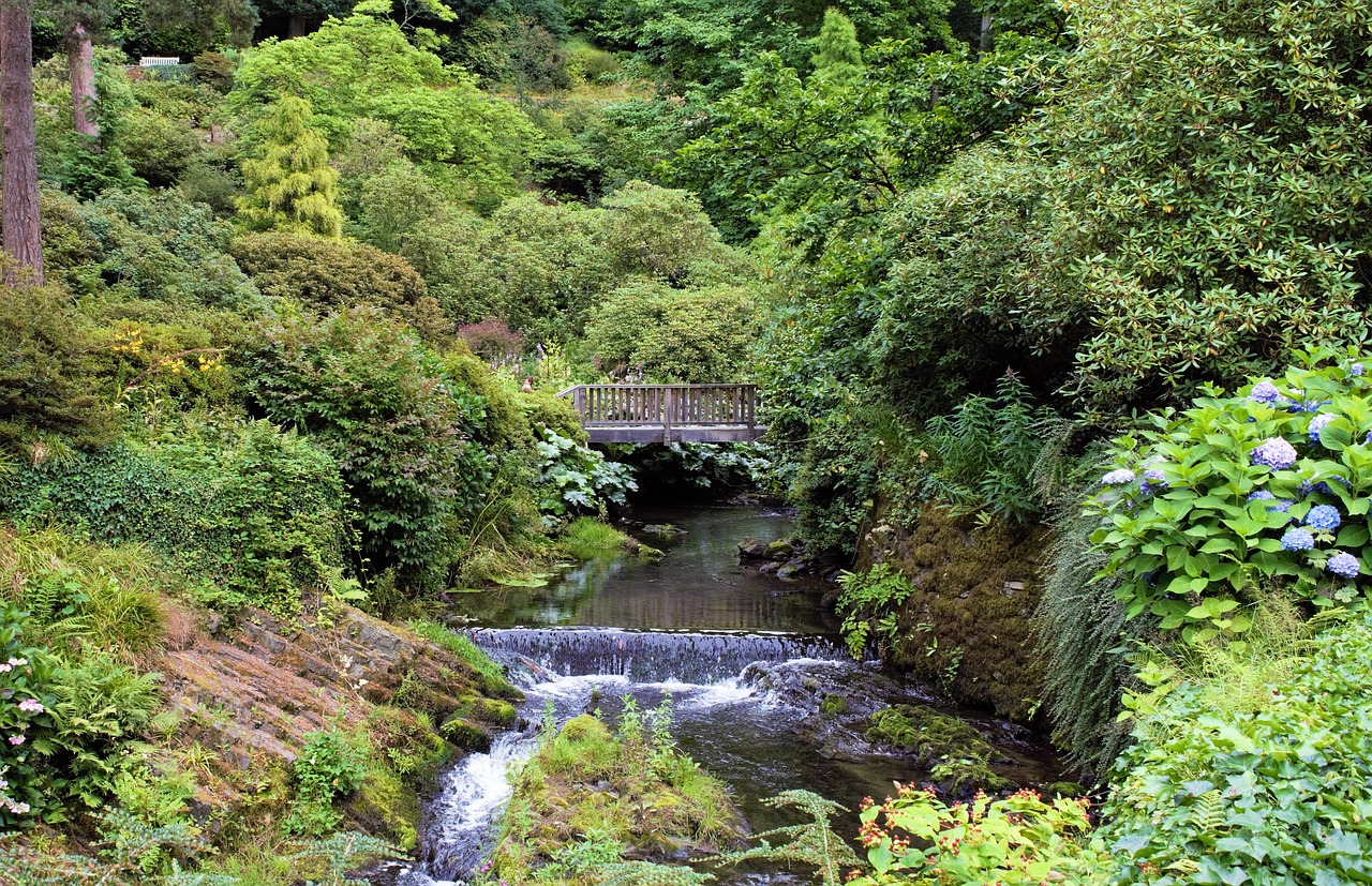 Bridge - free online jigsaw puzzle photo