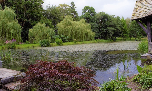 Free Wales Gardens photo and picture