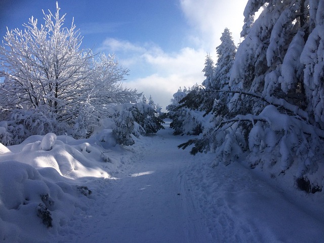 Altenberg, Natur, Winter, Schnee
