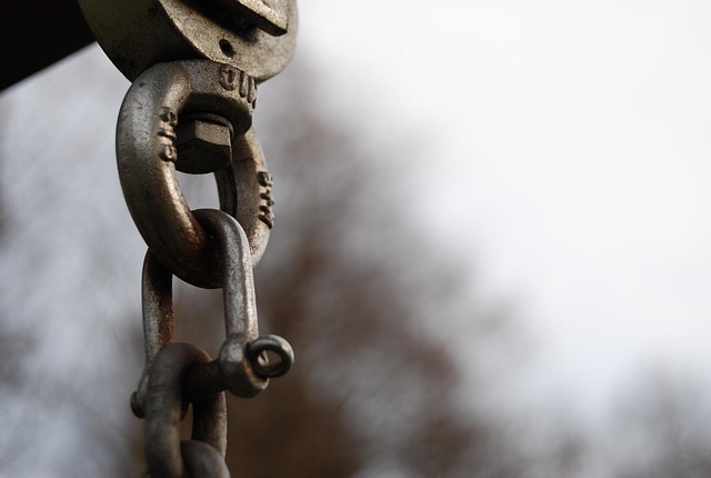 Free Chain Suspension photo and picture