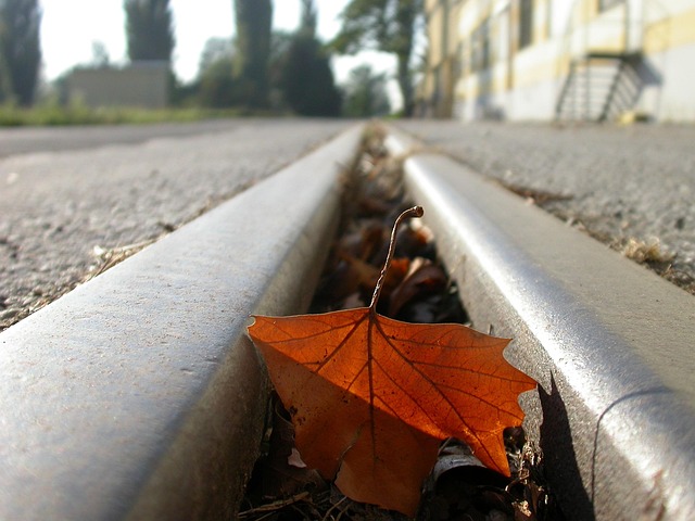 Free Rails Leaf photo and picture