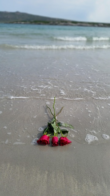 Free Rose Beach photo and picture