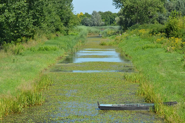 Free Nature See photo and picture