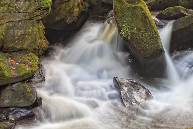 Free Water Nature photo and picture