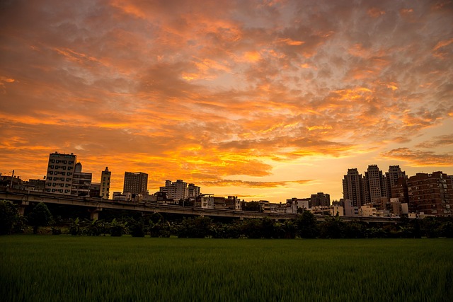 超过 10000 张关于“夕日 人影”和“夕陽”的免费图片 - Pixabay