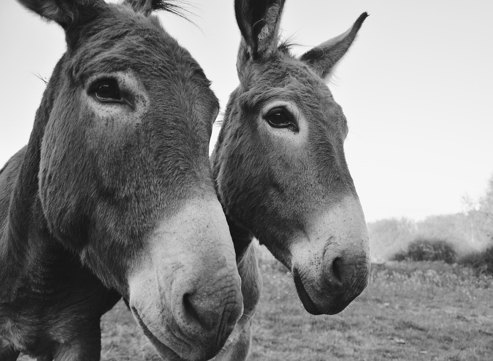 svart tjej på flicka kön
