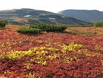 mountain tundra, mountains, ranges