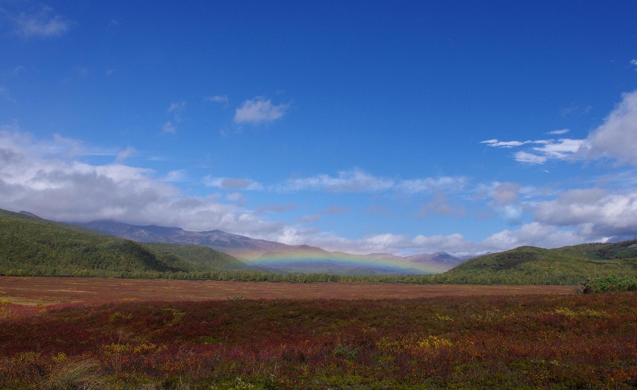 Autumn - free online jigsaw puzzle photo