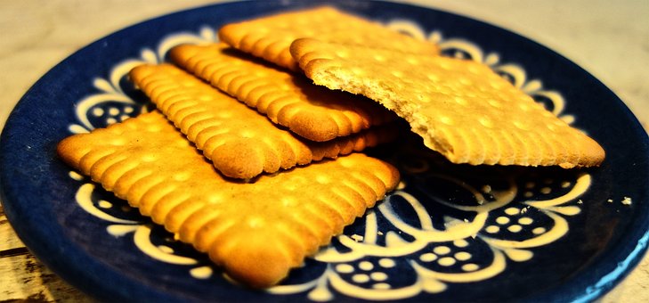 Free Biscuit Cookies photo and picture
