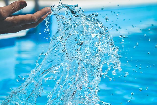 Free Toilet Pool photo and picture