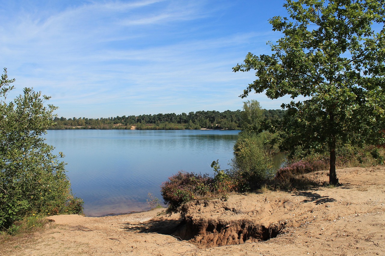 reindersmeer-maasduinen-free-photo-on-pixabay-pixabay