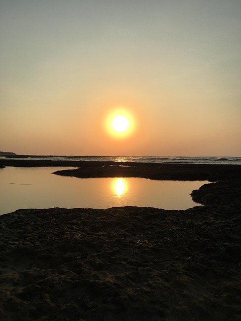 超过 100000 张关于“夕陽小鳥”和“自然”的免费图片 - Pixabay