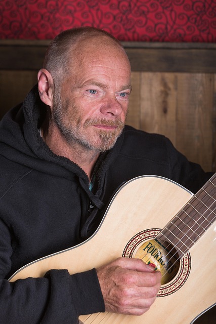Gitarist, Gitaar, Musicus