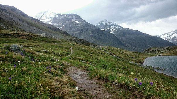The Path, Hiking, Cloudy, Nature