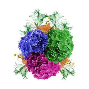 Blume, Nelke, Green, Lila, Blütenblätter