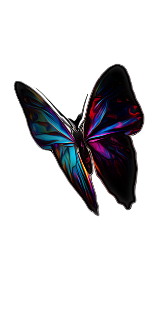 Free Butterfly Insect illustration and picture