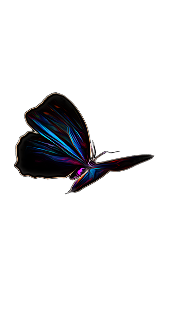 Free Butterfly Insect illustration and picture
