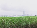 wuhan, riverside, the yangtze river