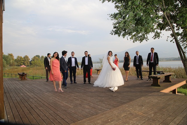 Free Guest Cat Wedding Ceremony photo and picture