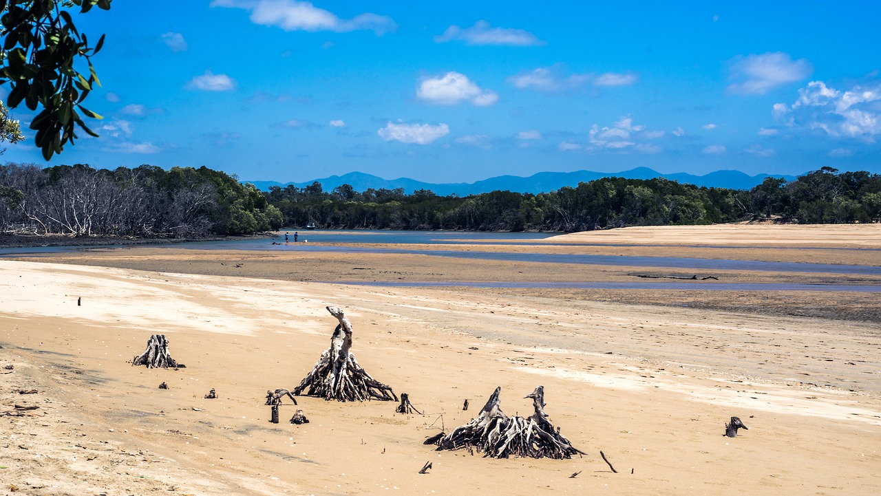 10+ Free Saunders Sklep & Saunders Beach Photos Pixabay