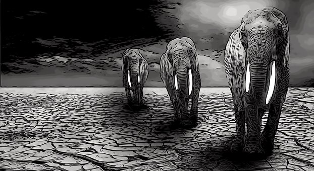 Free Elephant Wild illustration and picture