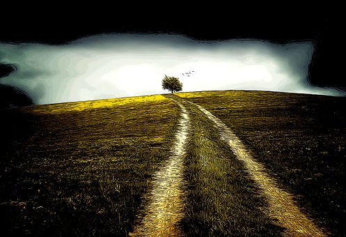 Free Road Grass illustration and picture