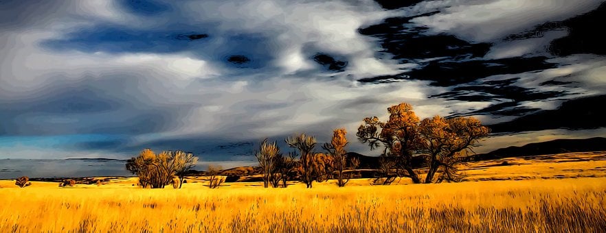 Free Wild Grass illustration and picture