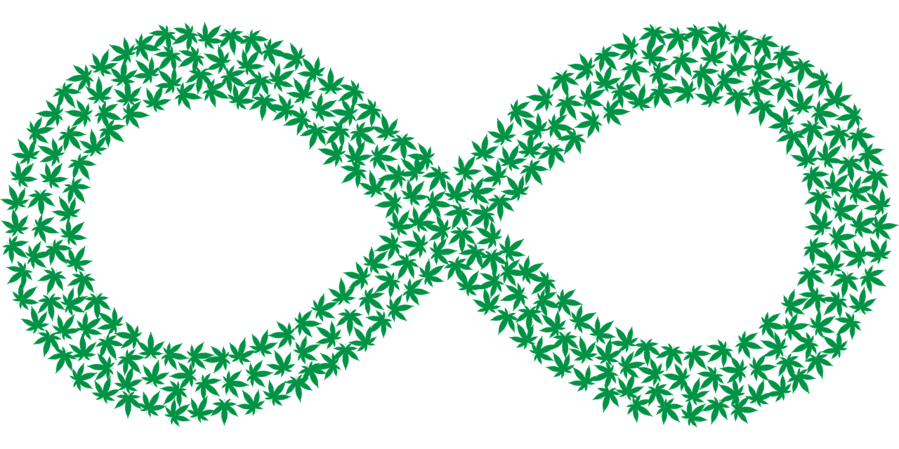 Free hemp leaf plant vector