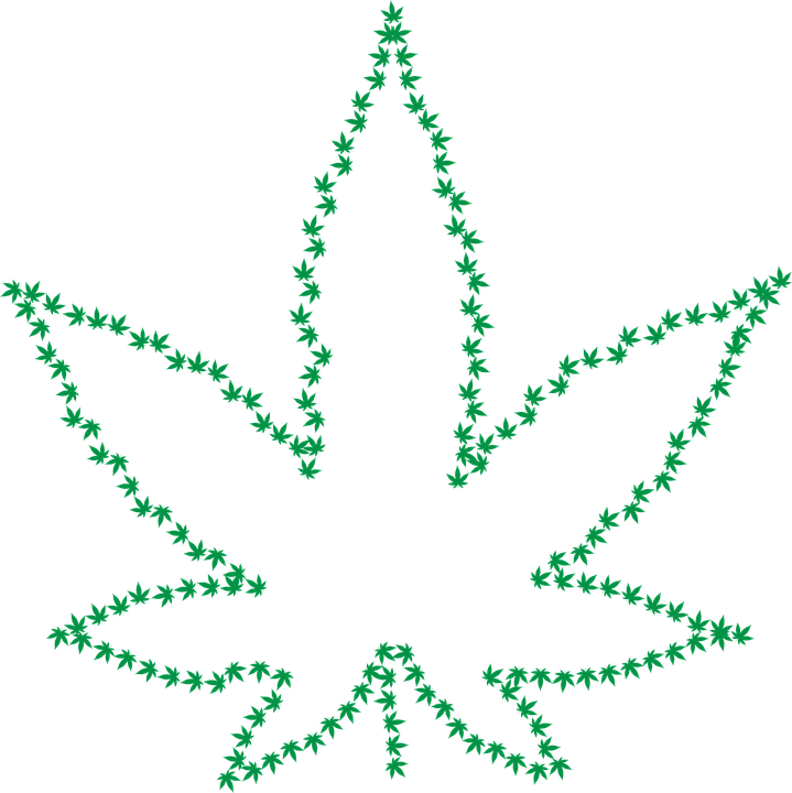 25+ Inspirasi Keren Gambar Sketsa Daun Ganja - Tea And Lead