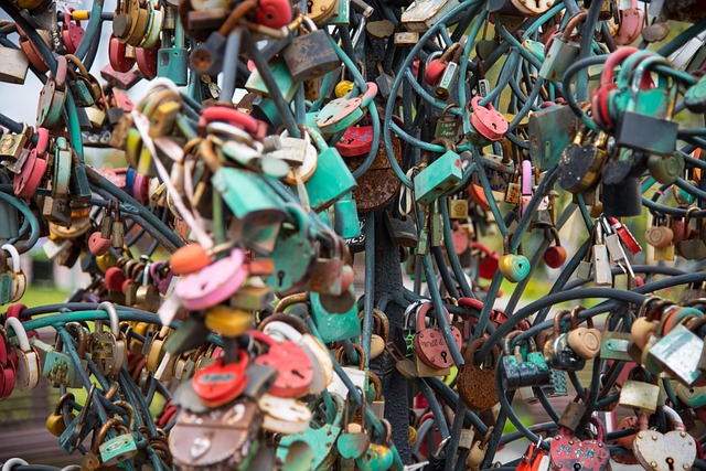 Free Padlock Tree photo and picture