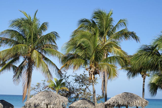 Free Cuba Varadero photo and picture